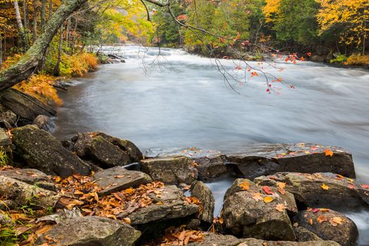 Huge boulders and colorful fall forest on a riverside of Oxtongue river, Muskoka, Canada