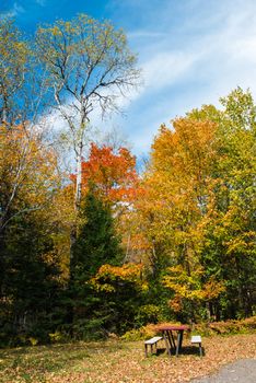 Benches and a table, surrounded by colourful fall trees and blue sky background, is an ideal place for rest. Ontario, Canada