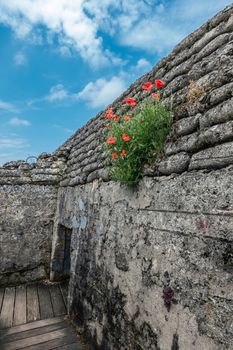 Diksmuide, Flanders, Belgium -  June 19, 2019: Historic WW1 Trenches, called Dodengang along IJzer River, shows gray-brown stone-hard sandbags, green grass, red poppies and blue sky.
