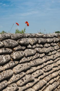 Diksmuide, Flanders, Belgium -  June 19, 2019: Historic WW1 Trenches, called Dodengang along IJzer River, shows gray-brown stone-hard sandbags, green grass, red poppies.