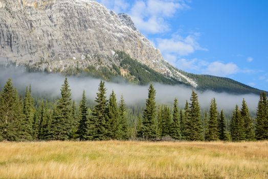 Canadian Rockies, covered by green forest and morning mist, at the Banff National Park, Alberta