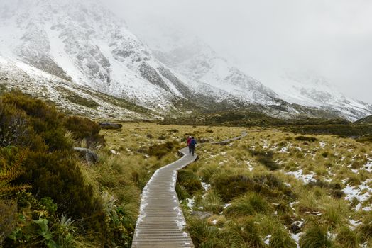 Curvy hanging wooden pathway protects highland snowy mountain ecosystem at Hooker Valley Track