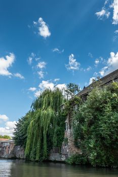 Gent, Flanders, Belgium -  June 21, 2019: Green foliage covers partly old brick houses along the Lieve River under blue sky with white cloud patches. Greenish water.