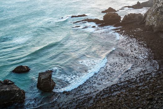 Sunset view of the Pacific Ocean coast, waves and cliffs at Nugget Point, New Zealand