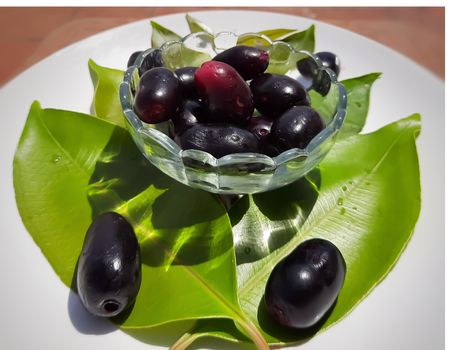 Black plum with its leaf contains vitamin C and iron hemoglobin heart healthy and treats diabetes summer season fruit