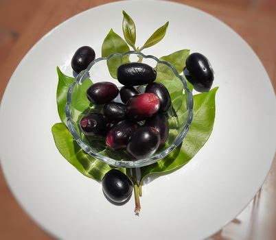 Black plum with its leaf contains vitamin C and iron hemoglobin heart healthy and treats diabetes summer season fruit