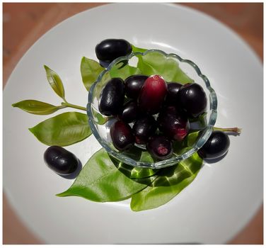 Black plum with its leaf contains vitamin C and iron hemoglobin heart healthy and treats diabetes summer season fruit