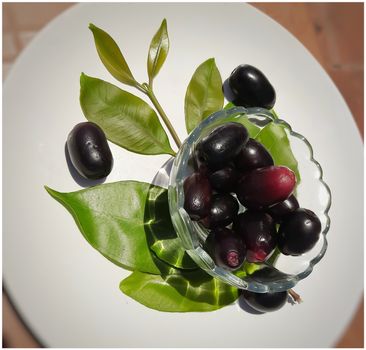 Black plum with its leaf contains vitamin C and iron hemoglobin heart healthy and treats diabetes summer season fruit
