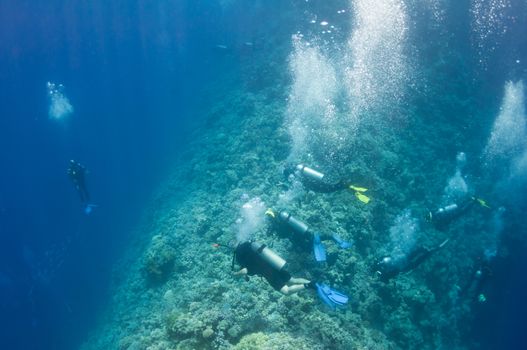 A group of underwater divers is waiting for decompression and moving along the reef in the Red Sea, Egypt. There are a lot of bubbles and blue water background.