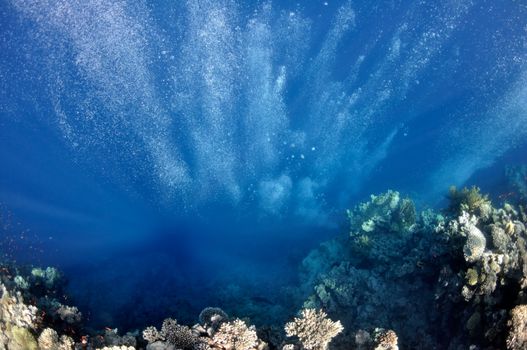 The picture shows underwater bubbles which raise from the depth of blue sea on a coral background in Red Sea