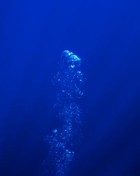 The picture shows underwater bubbles which raise from the depth of blue sea