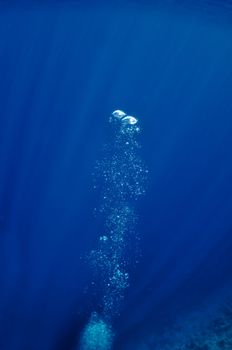 The picture shows underwater bubbles which raise from the depth of blue sea