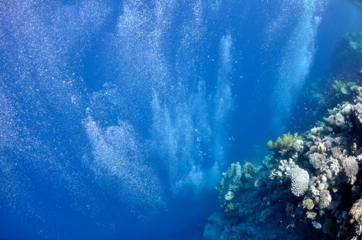 The picture shows underwater bubbles which raise from the depth of blue sea