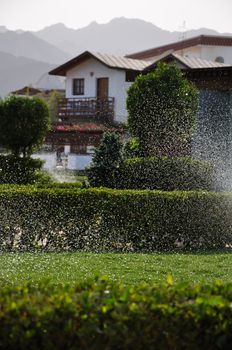 A lot of water drops on a poured green lawn and misty houses and mountains on the background