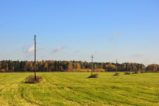 The autumn meadow view with a line of telegraph poles