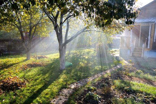Sunbeams shine through autumn trees on a cottage garden