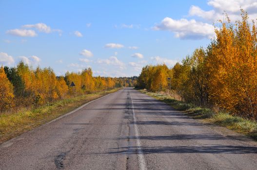 An old, patched asphalt road between autumn bushes and trees