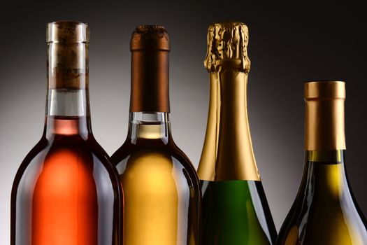 Closeup of four wine bottles backlit witha light to dark gray background. A Blush, Chardonnay, Sauvignon Blanc and Champagne bottles are shown from shoulder up. Horizontal Format.