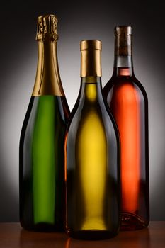 Champagne, Chardonnay and Blush wine bottles over a spot light to dark background. Bottles are without labels in vertical format.