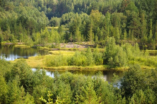 Beautiful forest and meadow view near bending river