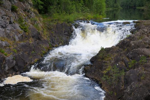 This picture shows Kivach - the most powerfull waterfall in Karelia region (approximately 12 meters)