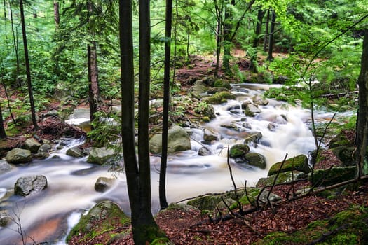 Rocks and boulders in the mountain stream in the forest in the Giant Mountains in Poland