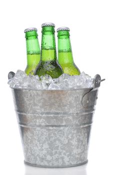 Three Green Beer Bottles in Ice Bucket with Condensation isolated on white vertical composition with reflection