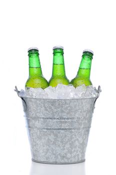 Three green beer bottles in a bucket of ice isolated on a white background. Vertical format with reflection. Bottles and pail have condensation.