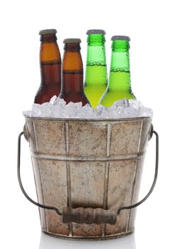 An old fashioned bucket filled with ice and beer bottles. Four brown and green bottles of beer are represented in vertical format on a white background with reflection.