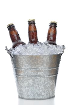 Three Brown Beer Bottles in Ice Bucket with Condensation isolated on white vertical composition with reflection