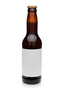 A brown beer bottle with blank label. Isolated on white ready for your text or copy.