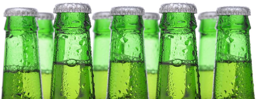 Closeup of nine green beer bottle necks over a white background. Focus is on the front two bottles and tye are covered with condensation. Extra long shot useful for a banner.