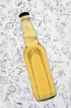 A single bottle of beer backlit on a bed of ice. The bottle has no label. Vertical Format