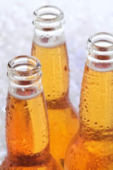 Close up of three cold longneck beer bottles with condensation standing on a bed of crushed ice. Shallow depth of field and vertical composition.
