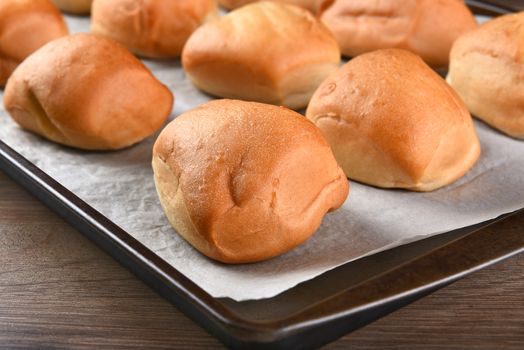 Closeup of fresh baked dinner rolls on a baking sheet lined with parchment paper. Shallow depth of field.
