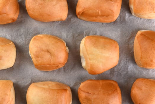 Closeup top view of fresh baked dinner rolls on parchment paper.