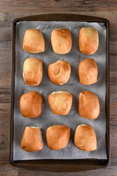 Top View of fresh baked dinner rolls on a baking sheet lined with parchment paper. 