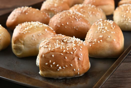 Closeup of fresh baked sesame seed dinner rolls on a metal baking sheet. 