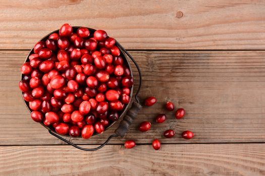 Overhead view of fresh cranberries on a rustic wooden table. Overhead shot on horizontal format.