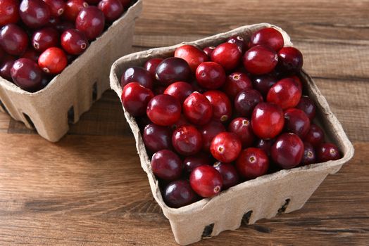 Closeup of two cardboard baskets of fresh whole cranberries. Horizontal format seen from a high angle. 