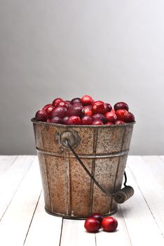 A bucket filled with fresh whole cranberries on a wood table against a light to dark gray background.