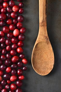 High angle view of fresh whole cranberries and a wooden spoon on a metal baking sheet. Vertical format.