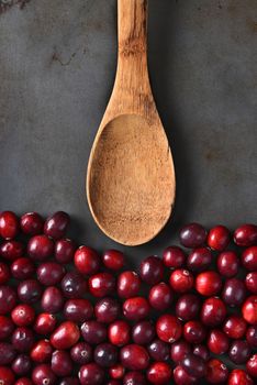 High angle view of fresh whole cranberries and a wooden spoon on a metal baking sheet. Vertical format.