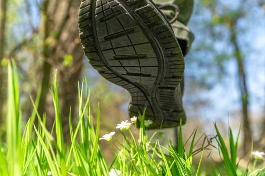 men's shoe tramples flowers on a green meadow, people destroy nature.