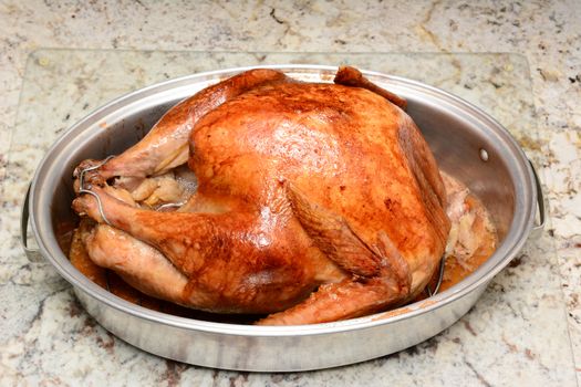 Closeup of a cooked Thanksgiving turkey in a roasting pan on a kitchen counter. The turkey has just come out of the oven and is ready to eat. Horizontal format.