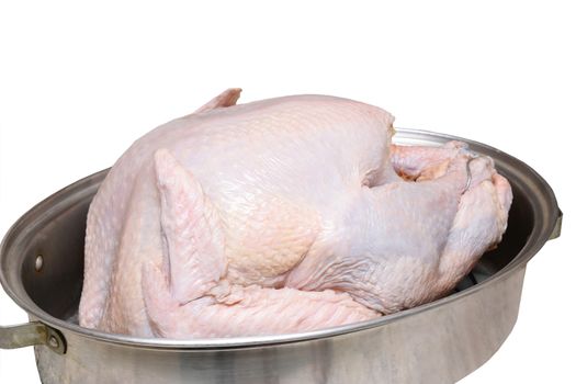 Closeup of an uncooked Thanksgiving Turkey in roasting pan ioslated on white.