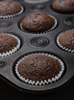 Closeup of a muffin pan with chocolate cup cakes. Vertical format with shallow depth of field.
