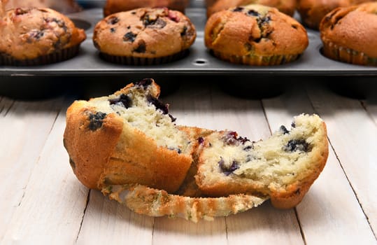 A blueberry muffin in front of a pan full of fresh baked muffins. Closeup with shallow depth of field.