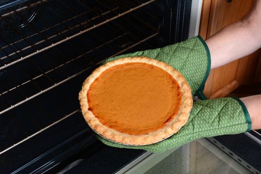 Closeup of a woman taking a fresh baked pumpkin pie from the oven. Pumpkin Pie is a traditional American dessert for Thanksgiving Day feasts. Horizontal with womans hands in oven mitts only.