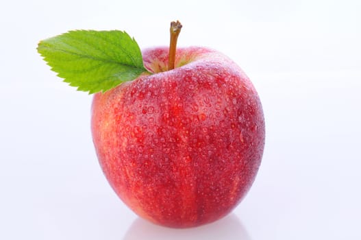 Closeup of a Gala Apple with leaf on stem and water droplets. Horizontal format over a white background. 
